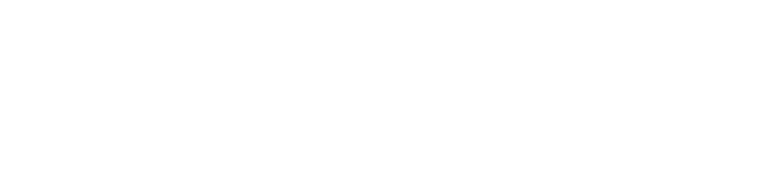 Made in Turin